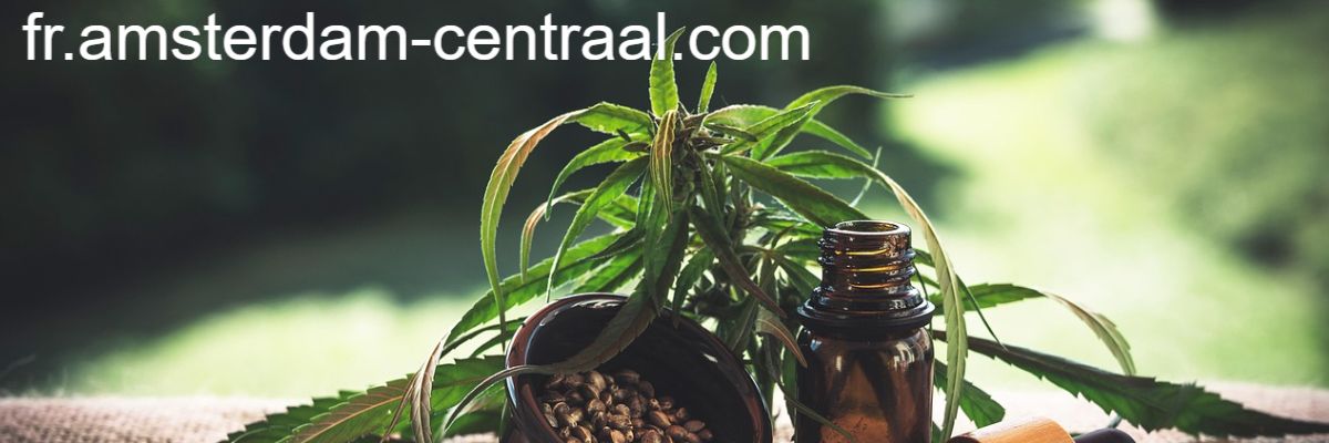 fr.amsterdam-centraal.com